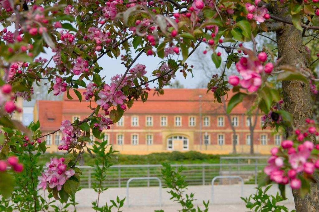 Hotel Vierseithof Luckenwalde Kültér fotó