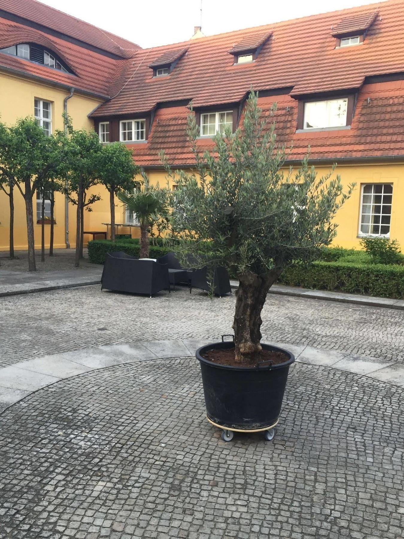 Hotel Vierseithof Luckenwalde Kültér fotó